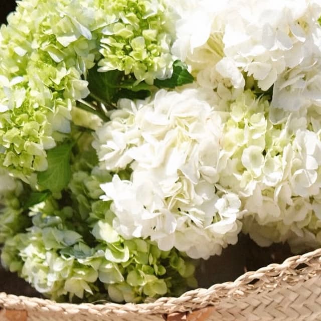 Deluxe Bridal Package at Cape Glow House in Mashpee, MA